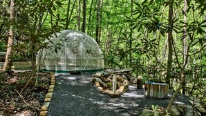 Unclassified image, 2 of 32, button - Cozy, Luxury Tree House in Gatlinburg, Tennessee (Gatlinburg)