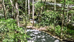 Property grounds - Cozy, Luxury Tree House in Gatlinburg, Tennessee (Gatlinburg)