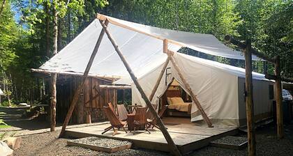 Beautiful Safari Tent near Olympic National Park for an Amazing Glamping Experience near Forks, Washington
