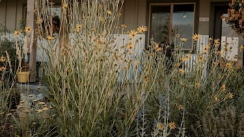 Detalle del exterior