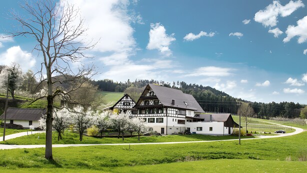A traditional half-timbered house with a sloped roof, surrounded by lush green fields and a clear sky. - Apartment 'Kirschblüte' with Mountain View, Shared Garden and Wi-Fi (Oberkirch)