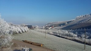 A rural landscape with frost-covered fields, a dirt road, and a few buildings in the distance. - Apartment 'Ferienwohnung Rebblüte' with Mountain View, Shared Garden and Wi-Fi (Oberkirch)