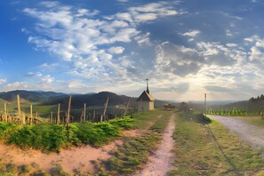A rural landscape with a dirt path leading to a small building with a cross on top, surrounded by fields and hills. - Apartment 'Ferienwohnung Rebblüte' with Mountain View, Shared Garden and Wi-Fi (Oberkirch)
