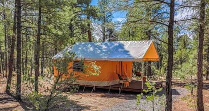 Safari Tent Glamping Near Grand Canyon in Williams, Arizona
