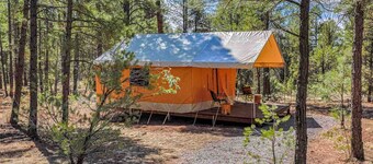 Safari Tent Glamping Near Grand Canyon in Williams, Arizona