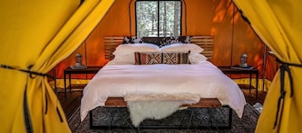 Safari Tent Glamping Near Grand Canyon in Williams, Arizona