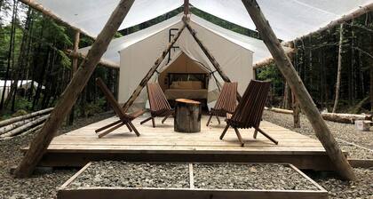 Gorgeous Safari Tent for a Peaceful Getaway near La Push, Washington
