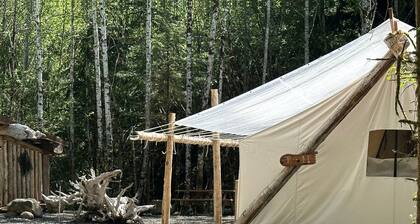 Spacious and Pet Friendly Safari Tent on a Glamping Resort in the Pacific Northwest, WA