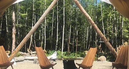 Luxurious Safari Tent for an Unforgettable Glamping Escape near Forks, Washington