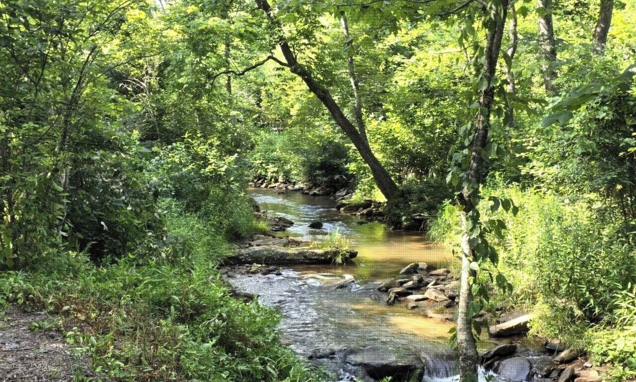 A natural outdoor setting with a stream surrounded by dense greenery.