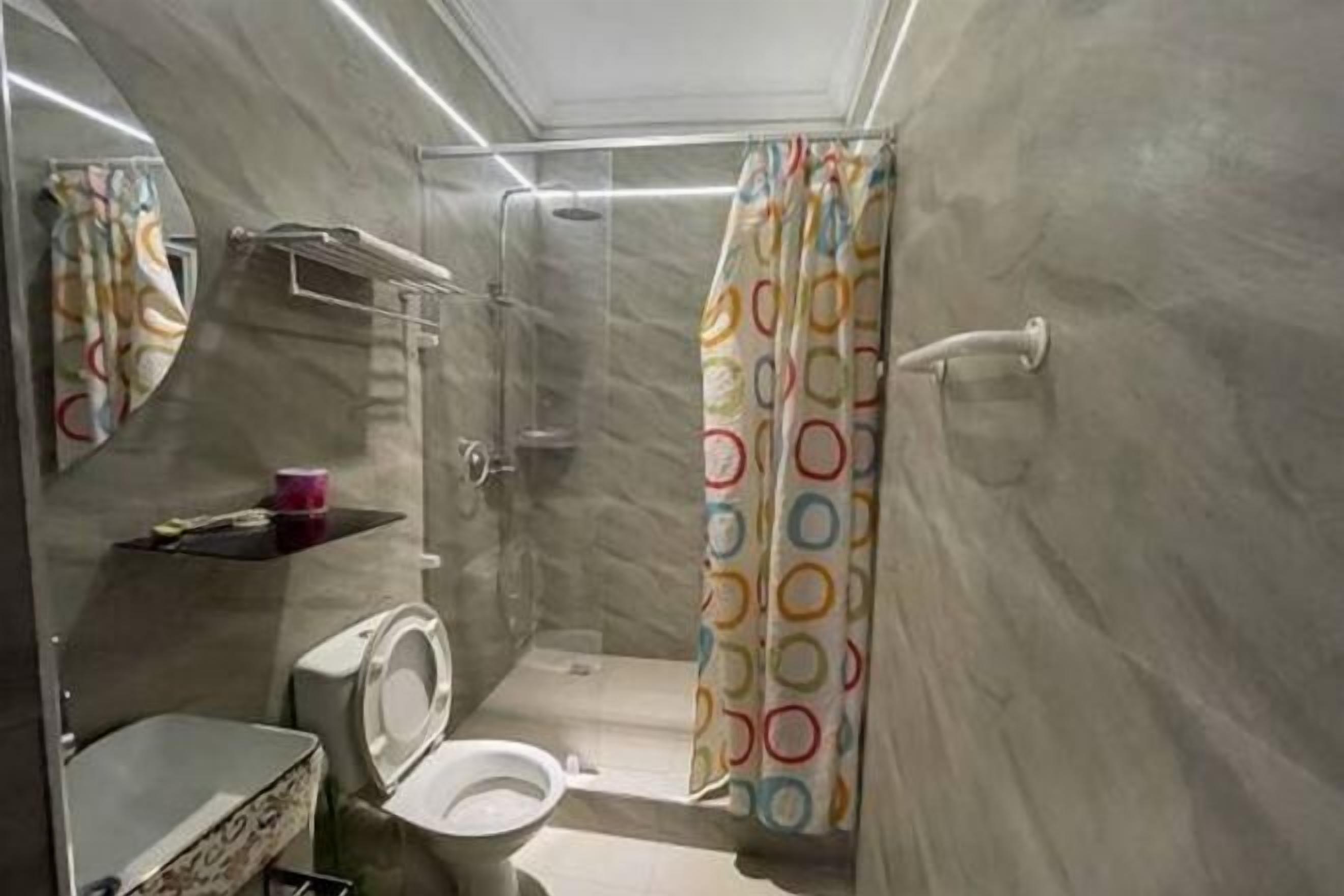 A bathroom with a shower, toilet, and a mirror.