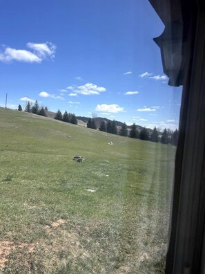 Interior - Large, Three Bedroom Cabin in Sturgis, South Dakota, Perfect for a Glamping Retreat to the Badlands (Sturgis)