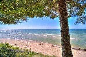 A beach with a tree in the foreground, a sandy shore, and the ocean. - Lovely Beach House Rental in Coastal Michigan, for Memorable Getaways to Muskegon (Muskegon)