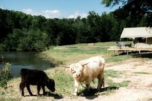 المنطقة المحيطة بالمنشأة