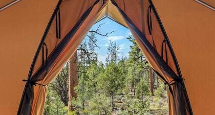 Sage Safari Glamping Tent