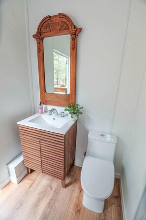 Toallas, jabón, shampoo, papel higiénico