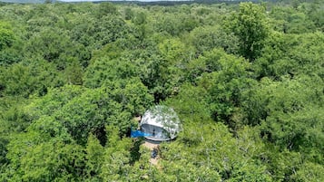 A dome-shaped structure in a forested area.