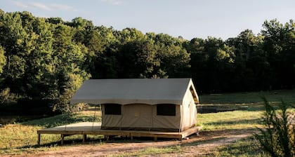 Secluded Tented Cabin Nestled Amidst Trees in Greenville, South Carolina