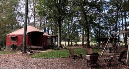 Cozy Yurt with Great Forest Views in Bryson City, North Carolina