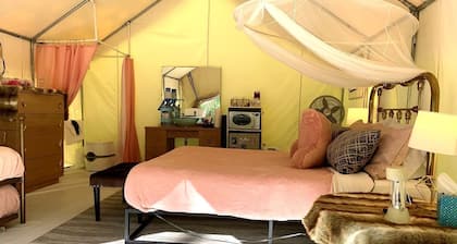 Glamorous Safari Tent on Fantastic Glampground near Bryson City, North Carolina