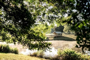 A tented structure by a body of water, surrounded by trees and grass.