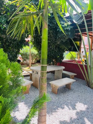Ein Gartenbereich mit einem Steintisch und Bänken, umgeben von verschiedenen Pflanzen und einer Palme.