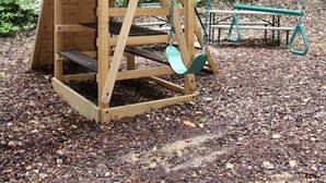 A wooden play structure with a slide and swings in a wooded area. - Wonderful Tiny House with Outdoor Living Areas in Alabama (Scottsboro)