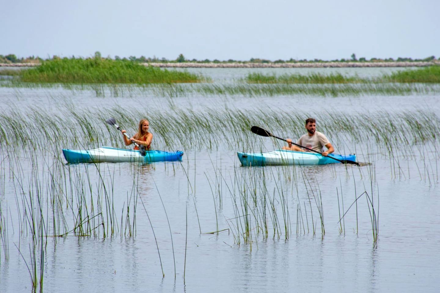 Two people kayaking on a calm water body with tall grasses and a distant shoreline.