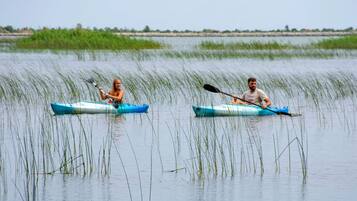 Two people kayaking on a calm water body with tall grasses and a distant shoreline.
