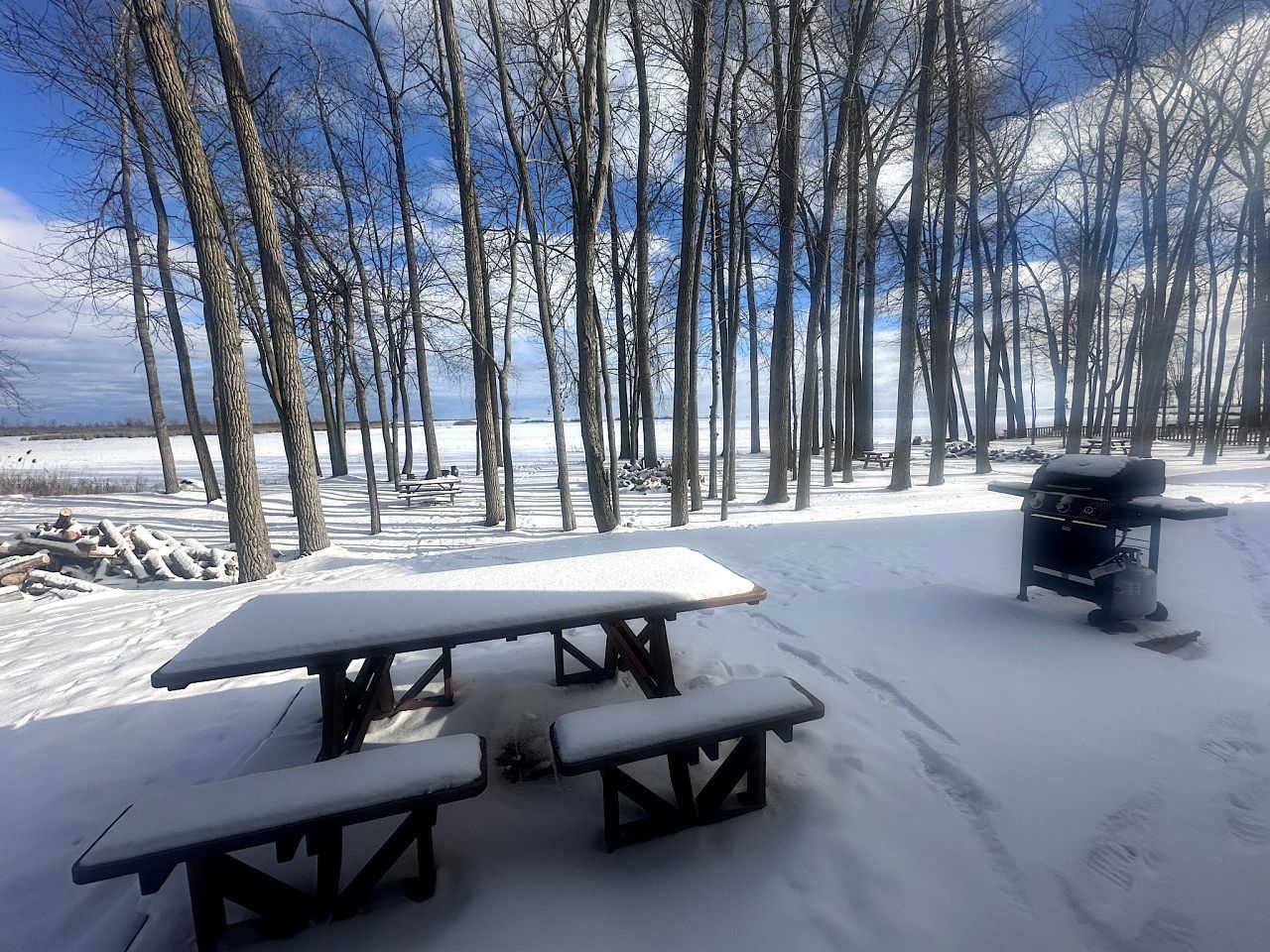 A snow-covered picnic table with benches, a grill, and leafless trees in the background.