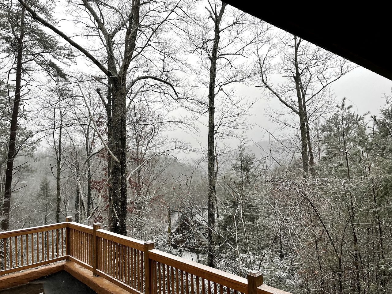 A wooden deck with a railing overlooking a forested area with snow-covered trees.