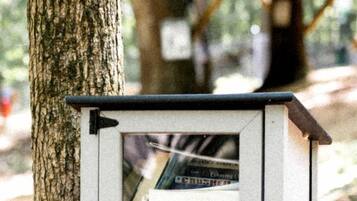 A treehouse with a book display.