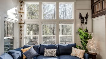 Televisión, chimenea y reproductor de DVD