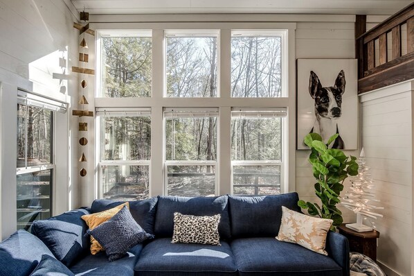 Televisión, chimenea y reproductor de DVD