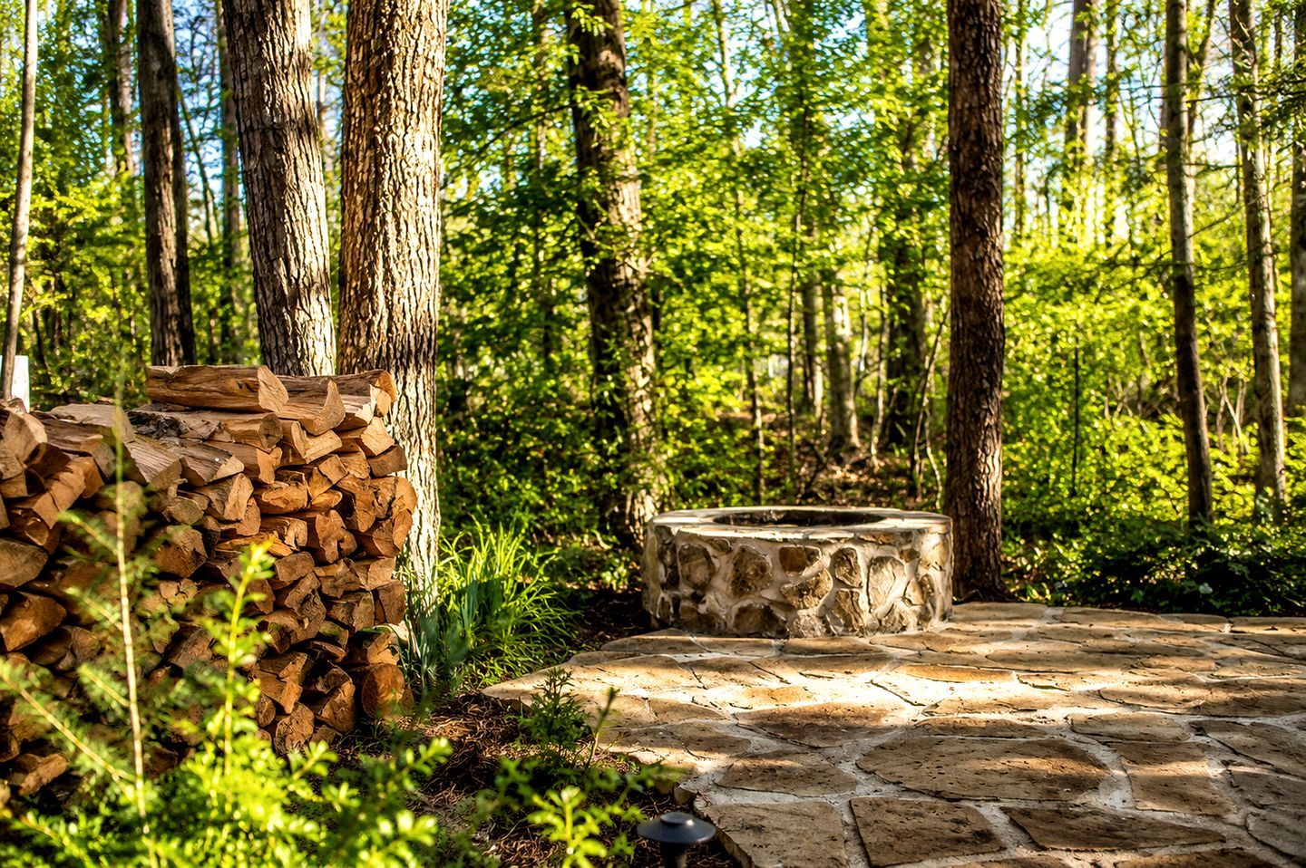 A stone pathway leading to a stone bench surrounded by a forest.