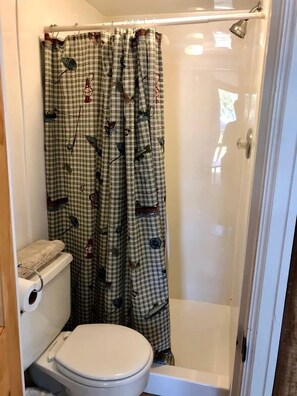 A bathroom with a toilet, a shower with a glass door, and a curtain with a pattern.