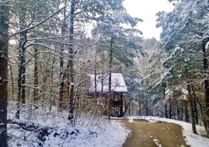 Property grounds - Rural Quaint Cabin with Large Private Deck and Hammock in Arkansas (Eureka Springs)