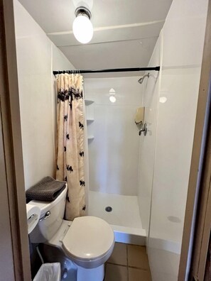 Een kleine badkamer met toilet, douche en een gordijn.