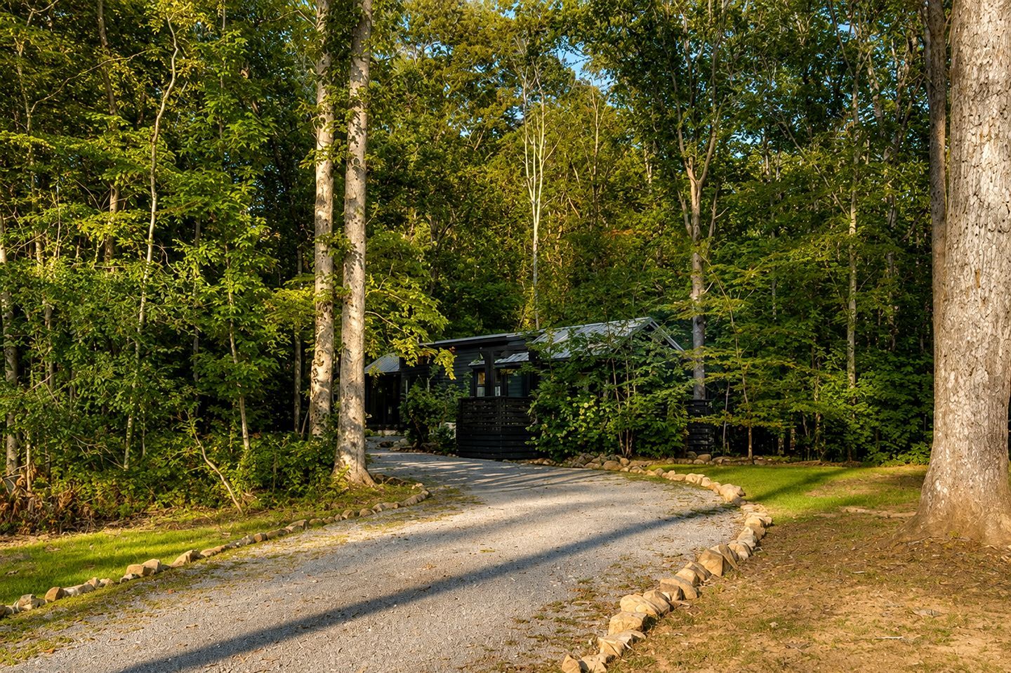 A forested area with a gravel road leading to a cabin.