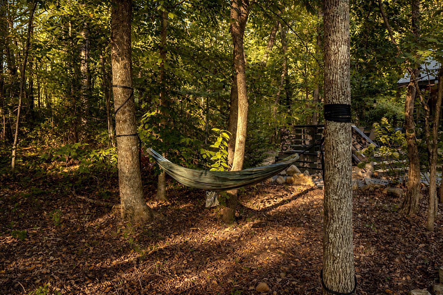 A hammock suspended between trees in a wooded area.