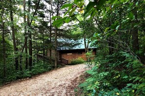 Property grounds - Mountain Top Cabin Incredible for Adventure Lovers in Arkansas (Eureka Springs)