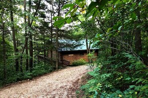 A forested area with a wooden cabin and a gravel path leading to it. - Mountain Top Cabin Incredible for Adventure Lovers in Arkansas (Eureka Springs)