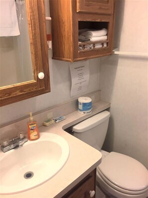 Serviettes fournies, savon, shampoing