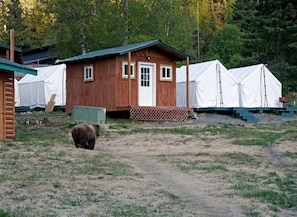 Exterior