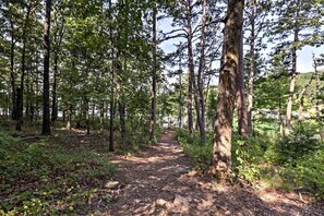 Un sentier boisé, bordé de grands arbres et recouvert d’un chemin de terre.