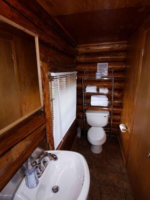 Towels, soap, shampoo - Traditional Log Cabin with Large Windows on the Kenai Peninsula, Alaska (Cooper Landing)