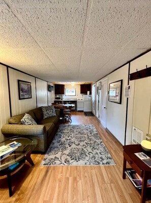 A compact living space with a sofa, coffee table, rug, kitchenette, and a dining area.