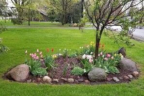 Property grounds - Restored Farmhouse with Hot-Tub in Penn Yan, New York (Penn Yan)