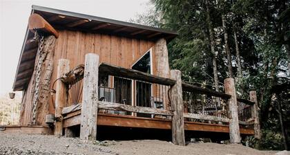 Off-Grid Log Cabin near Olympic National Park, Perfect for a Weekend of Hiking in Temperate Rainforests