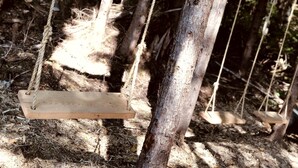 Um balanço de madeira suspenso por cordas em uma área arborizada.